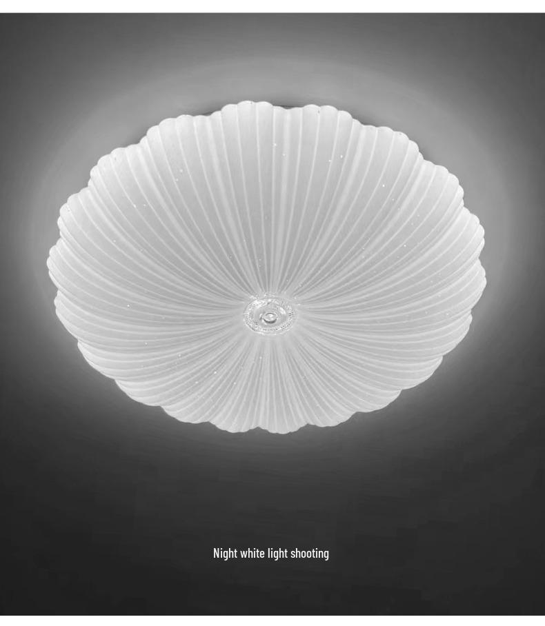 Shell Cloud LED Ceiling Lamp for Children's Room - Eye Protection & Creative Design