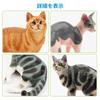 EYSCOTA CAT Animal Figure Plastic Animal Set for Kids Set, 12-Piece