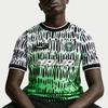 Nike Nigeria National Team Soccer Jerseys Men's Green Crew Neck Moderate IB5641-010