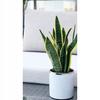 Ceramic Flowerpot for Small Flowers, White, 8 Cm