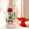 Rose Flower Gifts Valentine's Day Gift Everlasting for Mom Birthday