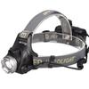 Rechargeable Red & White Dual Light Beekeeping Headlamp