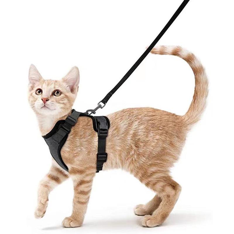 Welpen-Mesh-Set für kleine Katzen, Geschirr und Leine, verstellbare Weste, fluchtsicher für Haustier, Kätzchen, einfache Kontrolle, reflektierendes Hundegeschirr