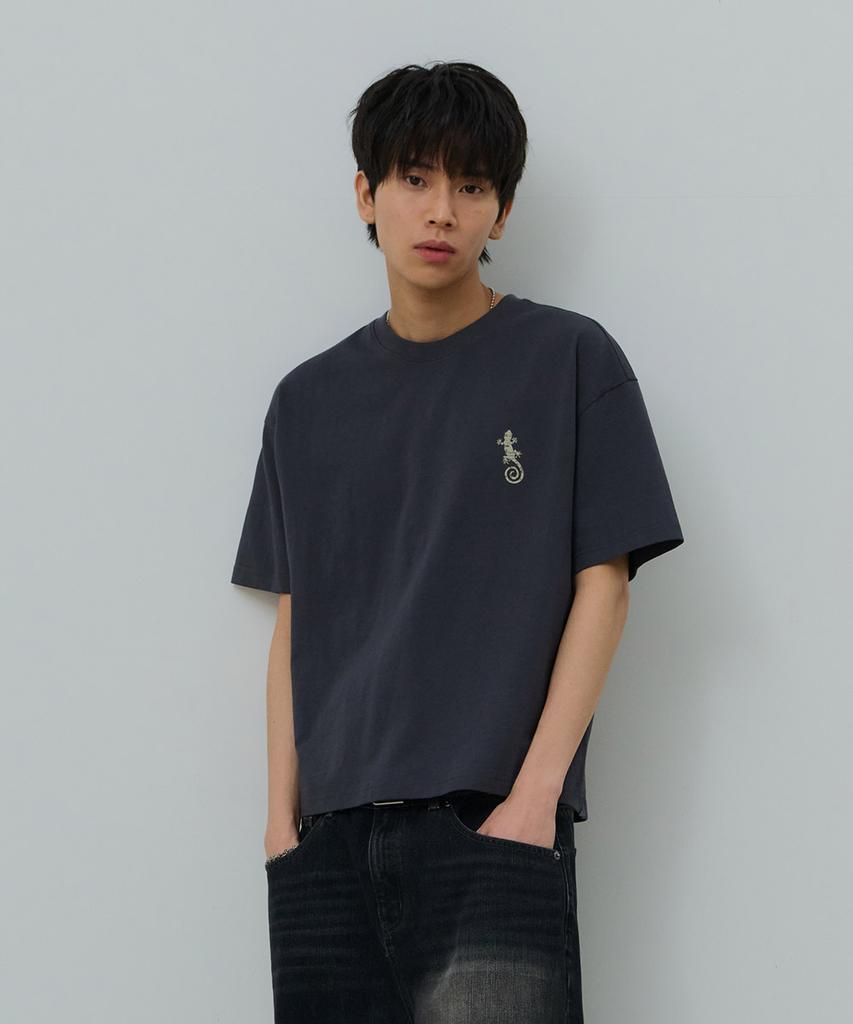 Desiledeu Front Graphic Crop Short Sleeve T-Shirt-Fbsk5805D09