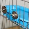 92MF Parrot Bathtub Birdcage Bathing Tub Budgies External Bathroom Cage Accessories Shower Tray Water Feeder