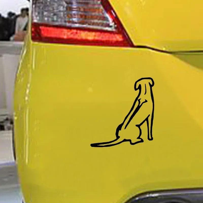 Rhodesian Ridgeback design car window bumper motorcycle helmet home decoration vinyl decal чёрный