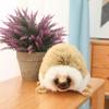 GaiBoSiLifelike Hedgehog Plush Toy 20CM Stuffed Animals Simulation Hedgehog Soft Doll Kids Toys Birthday Christmas Gift for Children