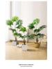 Large Luxury Faux Livistona Flower: Indoor Green Plant Floor Decoration