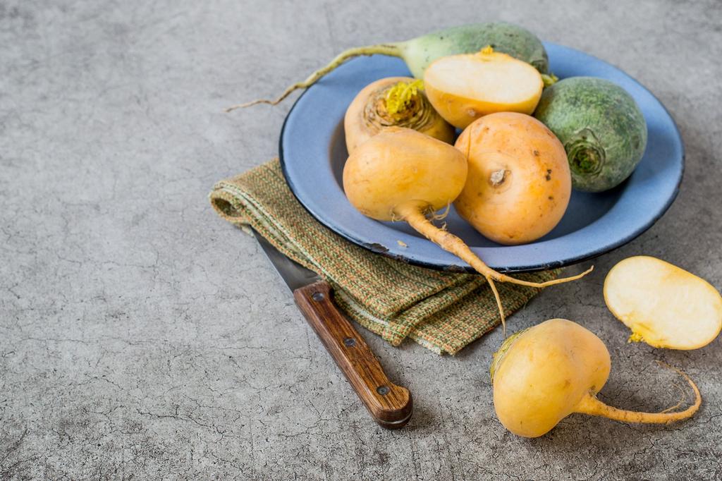 SAFLAX Bio - Rübe - Goldana - 500 Samen - Mit Blumenerde für eine bessere Kultivierung - Brassica rapa