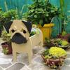Garden Flower Pot Dog Planter Schnauzer Bulldog Poodle Corgi Yorkshire Garden Pots DIY PVC Flower Planter Garden Home Decor