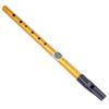 Irish Whistle Tin Whistle 6 Holes C/D Key Flute Instrument