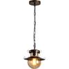 Oeny Industrial Style LED Pendant Light