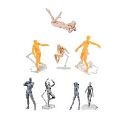 Action Figure Body Customizable Poses Movable  PVC Widely Used Drawing Mannequin for Family O