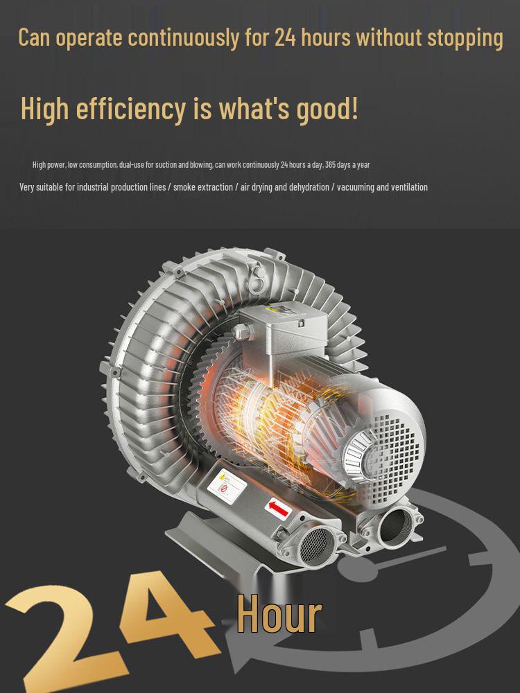 Vortex High-Pressure Industrial Vacuum and Aerator Pump