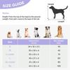 Lesure Dog Pet Pet Cat Foam Removable Easy to Stylish Pet Bed, Bed, Cushion, Bed, Waterproof, High-Resilience Filling, Cover, Non-Slip, Clean, Fluffy,