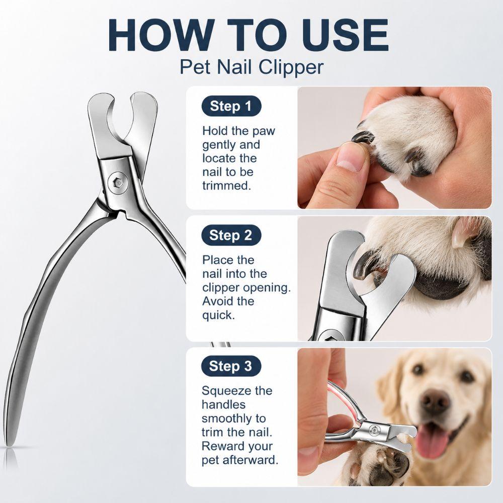 Stainless Steel Dog Nail Cutter Heavy Duty Pet Grooming Tool Pet Nail Clippers Small Dogs