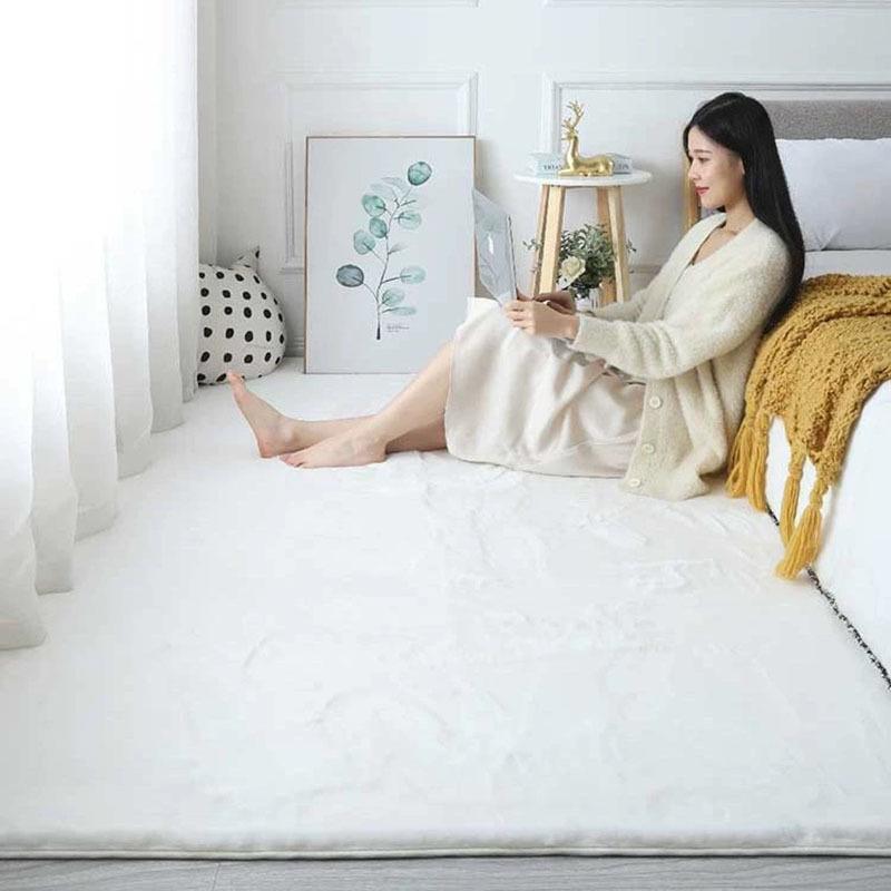 Instyle Thick Plush Imitation Rabbit Fur Carpet for Bedroom, Living Room, or Bay Window
