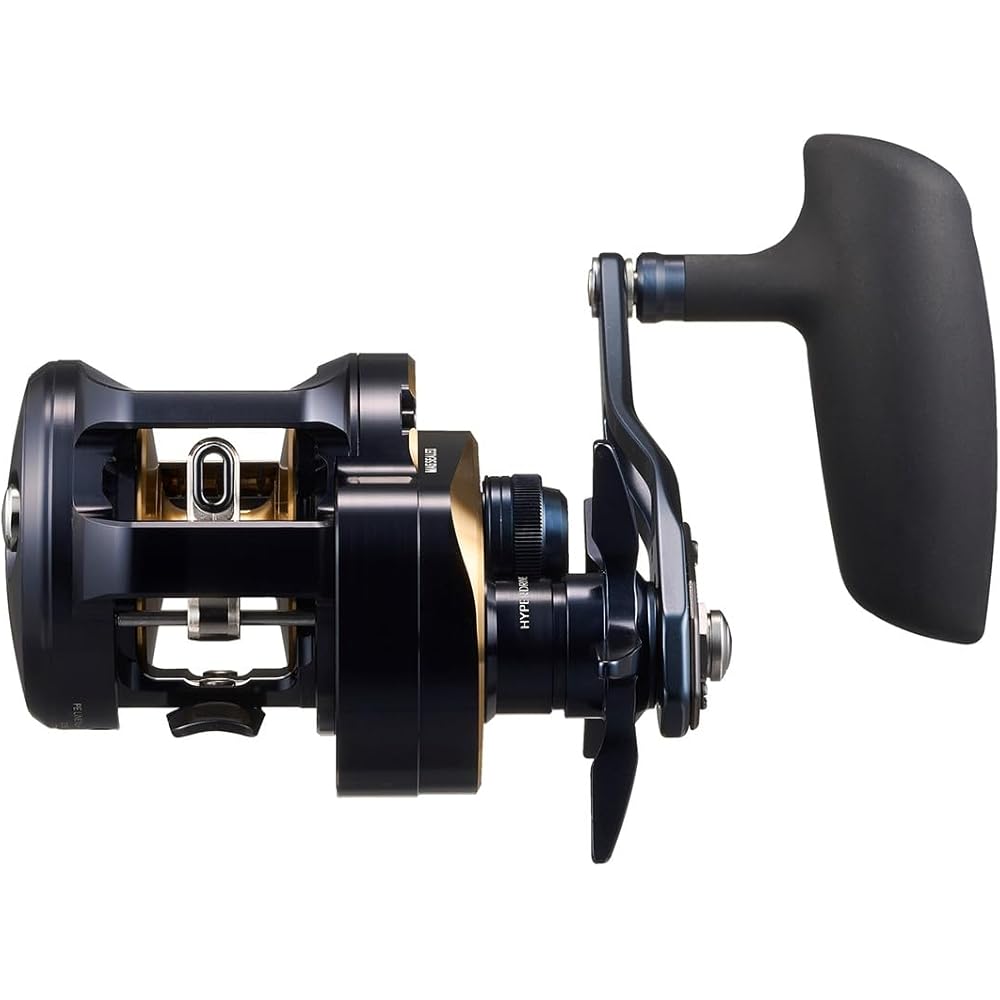 Daiwa (DAIWA) jigging bait reel SALTIGA (Saltiga) 300HL