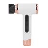 Hair Blow Dryer Wet and Dry Use 200W Powerful Hair Dryer Portable Multifunctional Pet Blow Dryer for Travel