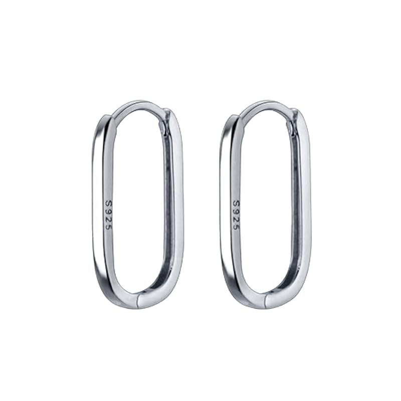 

earrings ring simple hoop silver 925 Silver925 Compatible with metal allergies present gift (Silver)