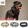 Collare per Cani alla Moda con Borchie Anti-Morso in Ecopelle PU Resistente Regolabile Dominante per Bulldog di Taglia Media/Grande Forniture per Animali Domestici