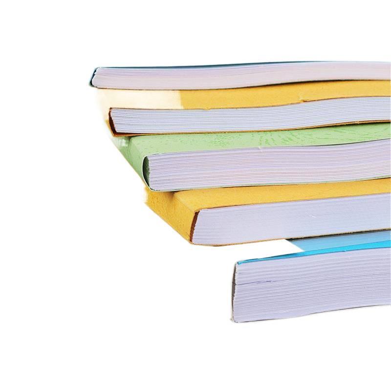 Hot Melt Adhesive Binding Strips for Book and Document Sealing