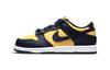 Dunk Low Michigan 2021/2024 PS CW1588-700