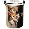 1pc Foldable Large Laundry Basket with Cute Kitten Print - Collapsible Cloth Hamper Suitable for Home,, Dorm Storage, Sturdy Frame-Free Organizer for 