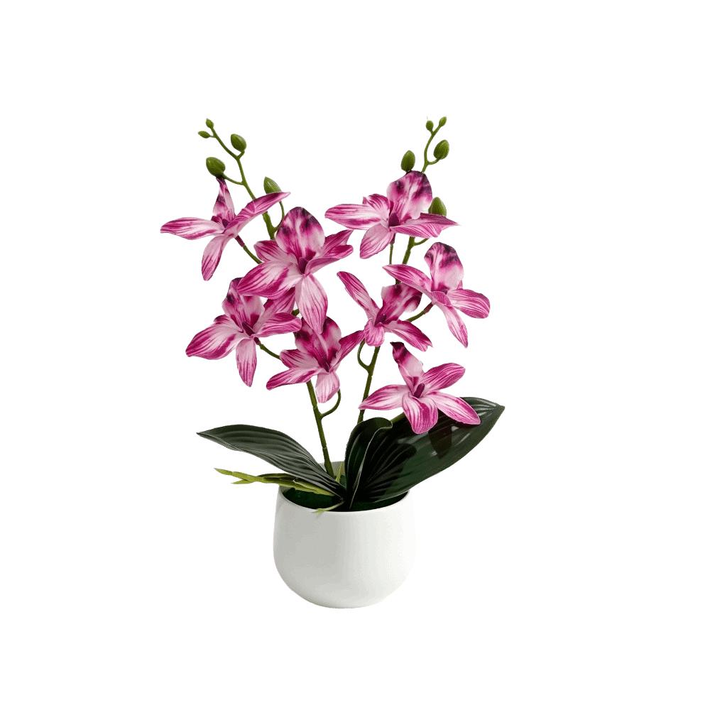 Silk Petals Artificial Orchid Flower Multicolor Simulated Orchid Plant  Office Hotel