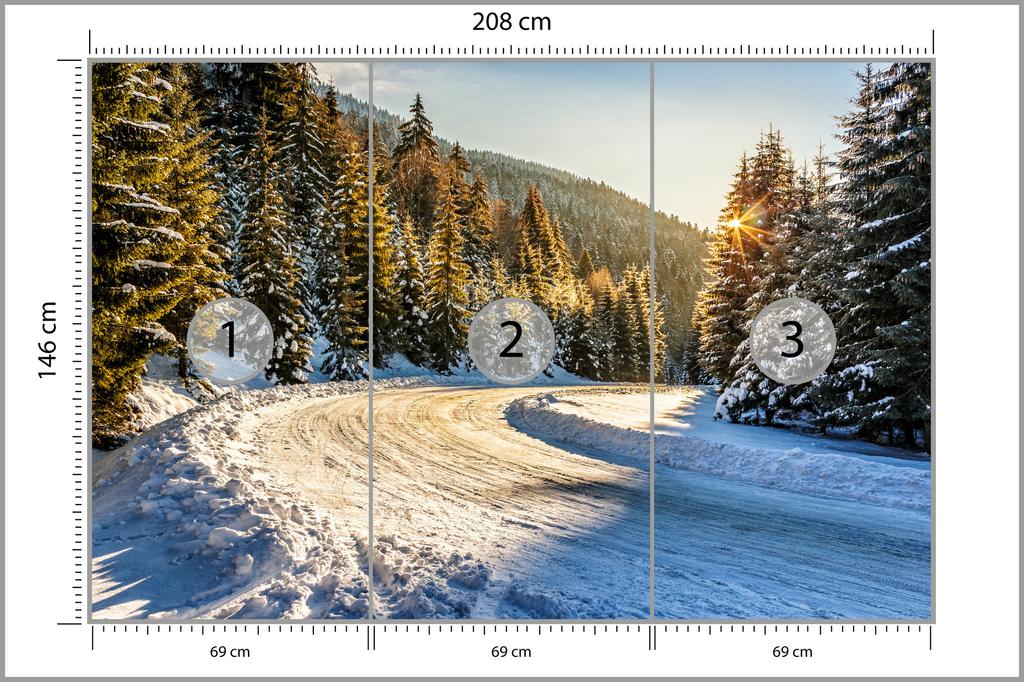 Photomural Winter Forest Structural Vinyl 208x146
