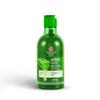 Ayouthveda Aloe Vera Shampoo for Hair Fall Control, Dandruff & Itchy Scalp | Sulphate & Paraben Free | Gentle Daily Cleanser for Soft, Smooth Hair