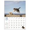 Art Print Japan 2027 Flying Cats Wall Calendar, Jumping Cat Photography Paper Calendar 260x370mm