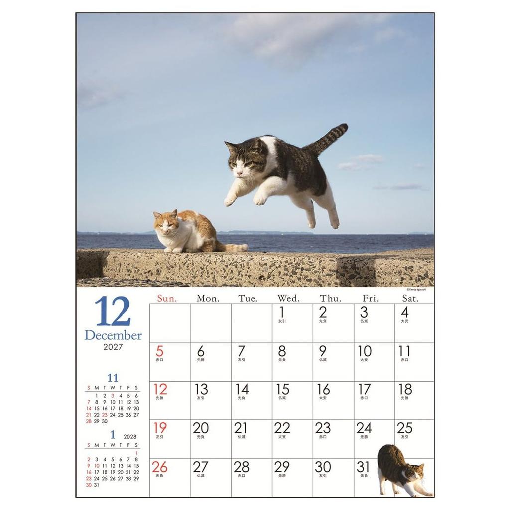 Art Print Japan 2027 Flying Cats Wall Calendar, Jumping Cat Photography Paper Calendar 260x370mm