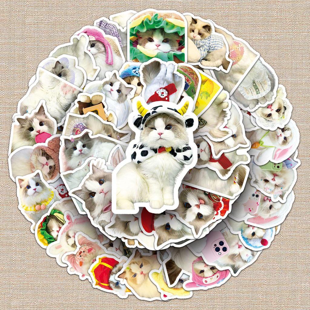 50 Cute Kittens Plush Graffiti Stickers for Creative Decoration - Ideal for Phone Cases & Skateboards
