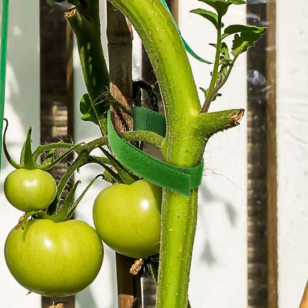 5M/10M Back To Back Velcro Plant Strap Velcro Strap Nylon Self-Adhesive Hook Hair Same Data Cable Tie