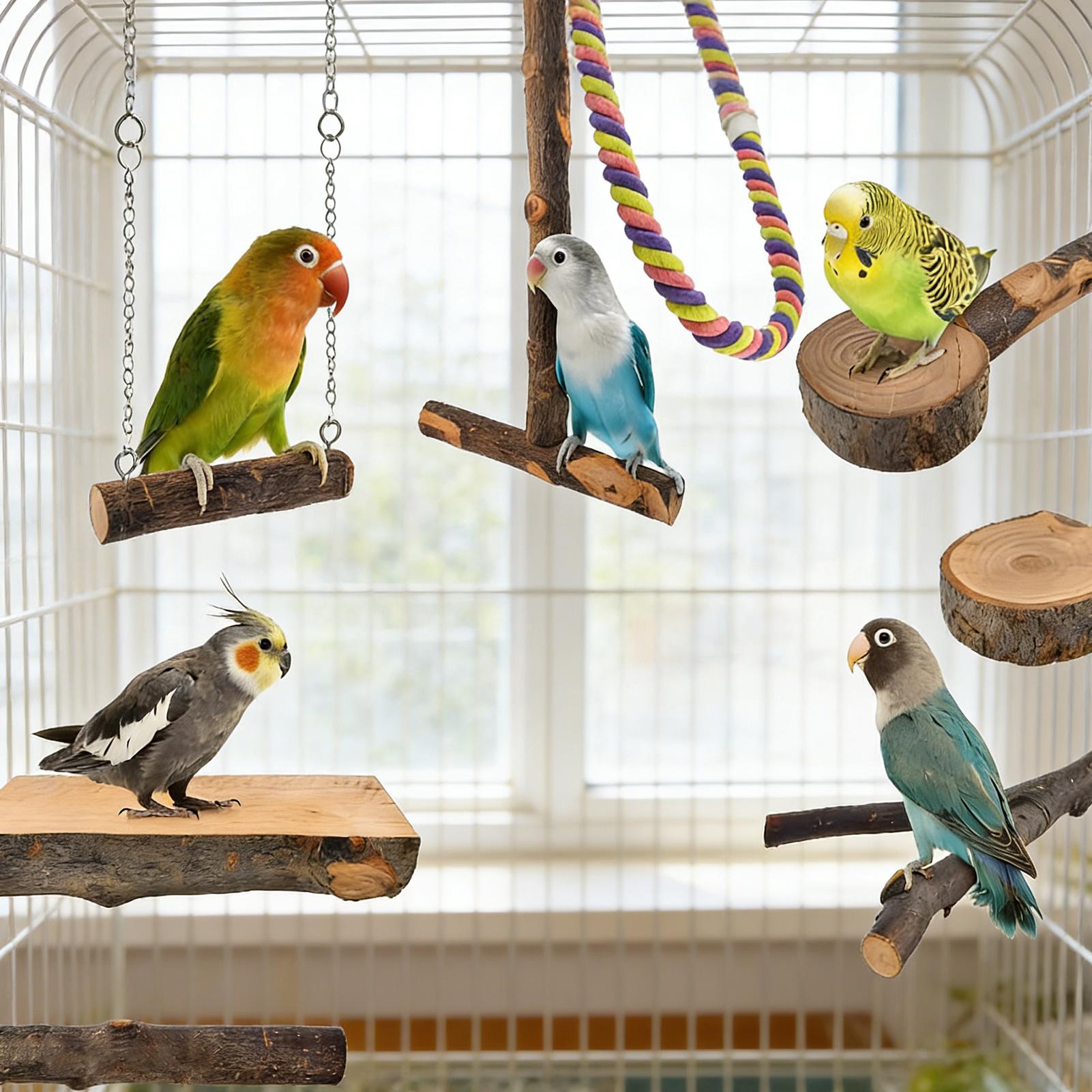 

8Pcs Bird Toys for Parakeets Parrot Parrot Training Chewing Hanging Standing Wooden Toys Bird Cage Accessories Non-Slip China Mainland