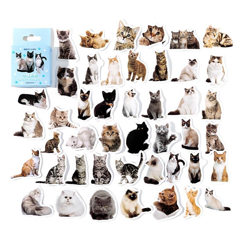 

45PCS Cat Stickers with Cats Stickers Sheet Cute Stickers for Scrapbooking Pack Set Black Cat