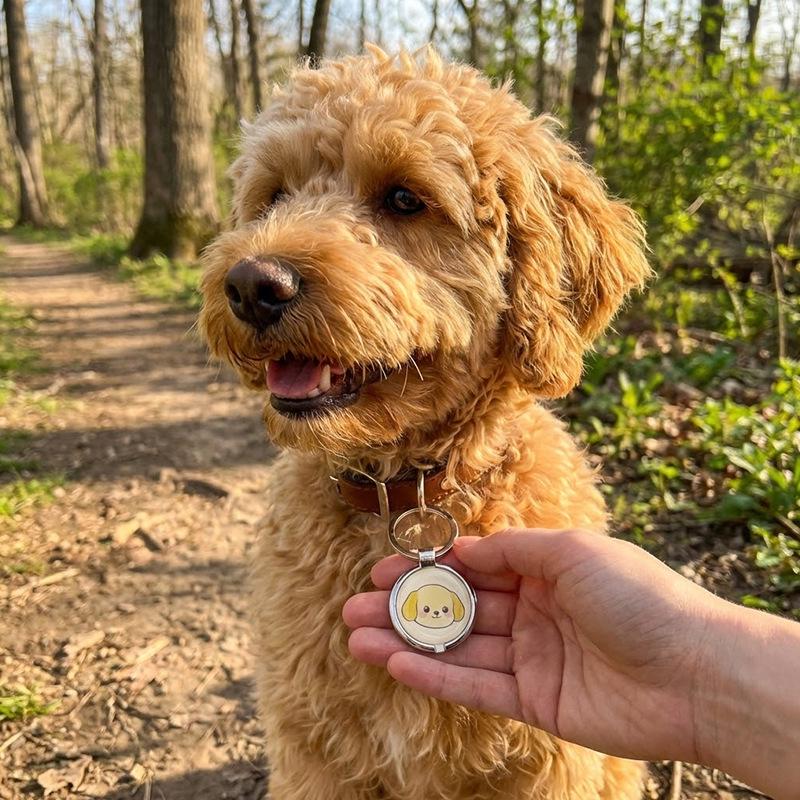 NFC Pet Tag: Metal ID Tag for Dogs and Cats - Anti-Loss Pendant to Share Pet Info
