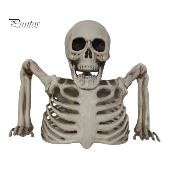 

Хэллоуин Череп Орнамент Скелет Половина Тела Фигурка Настольное Украшение Праздничная Атмосфера Enhancer Уникальный Декор Хэллоуина белый
