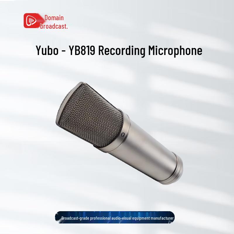 Weishiyu YB819 Recording Microphone