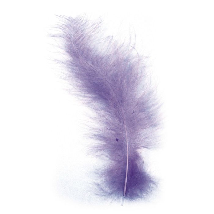 Plume duvetée Lilas 10-15 cm 15 pièces