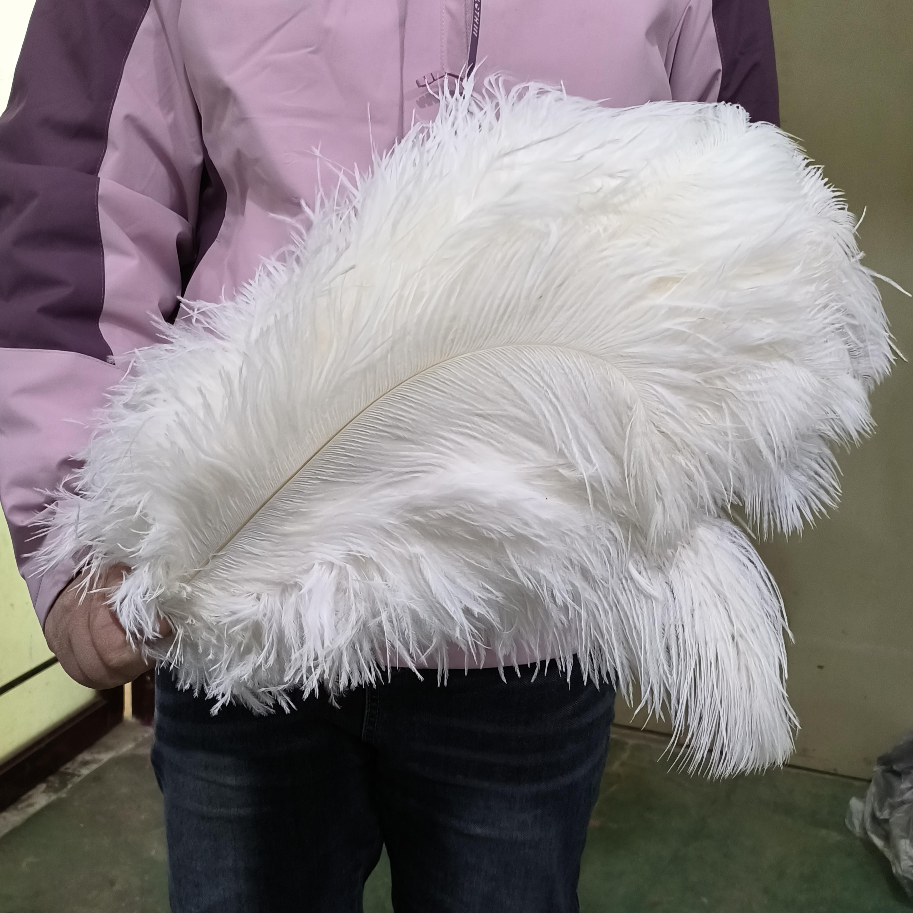 

10 ШТ Натуральне Блакитне Страусине Пір я Оптом 15-60СМ для Карнавалу Весільної Вечірки Ресторанної Центральної Композиції Декорація Плюмаж DIY Вироби 15-20cm білий