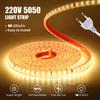 Ac 220V 5050 Led Strip Light Waterproof 60 Leds Flexible Tape Lamp With Eu Plug Lighting White 1M 2M 5M 10M 20M Outdoor Ribbon