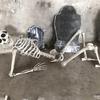 Halloween Skeleton Prop Human Full Size  Hand Life Body Anatomy Model Decor