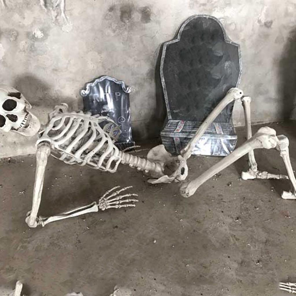 Halloween Skeleton Prop Human Full Size  Hand Life Body Anatomy Model Decor