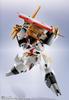 TAMASHII NATIONS METAL ROBOT Spirits Mashin Hero Wataru approximately and painted action figure <SIDE MASHIN> Ryuohmaru, 100mm, PVC, ABS, die-cast
