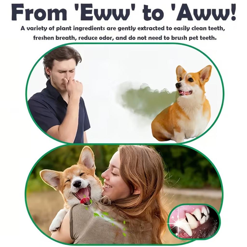 Pet Cleaning Teeth Oral Cavity Spray 100ml