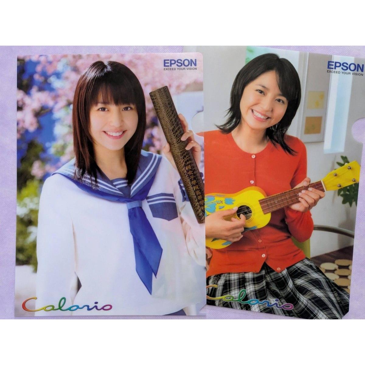 Used Masami Nagasawa EPSON clear file 2 types 2 pieces set