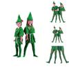 Premium Quality Peter Pan Robin Hood Storybook Costume For Men Women Unisex Party Wear