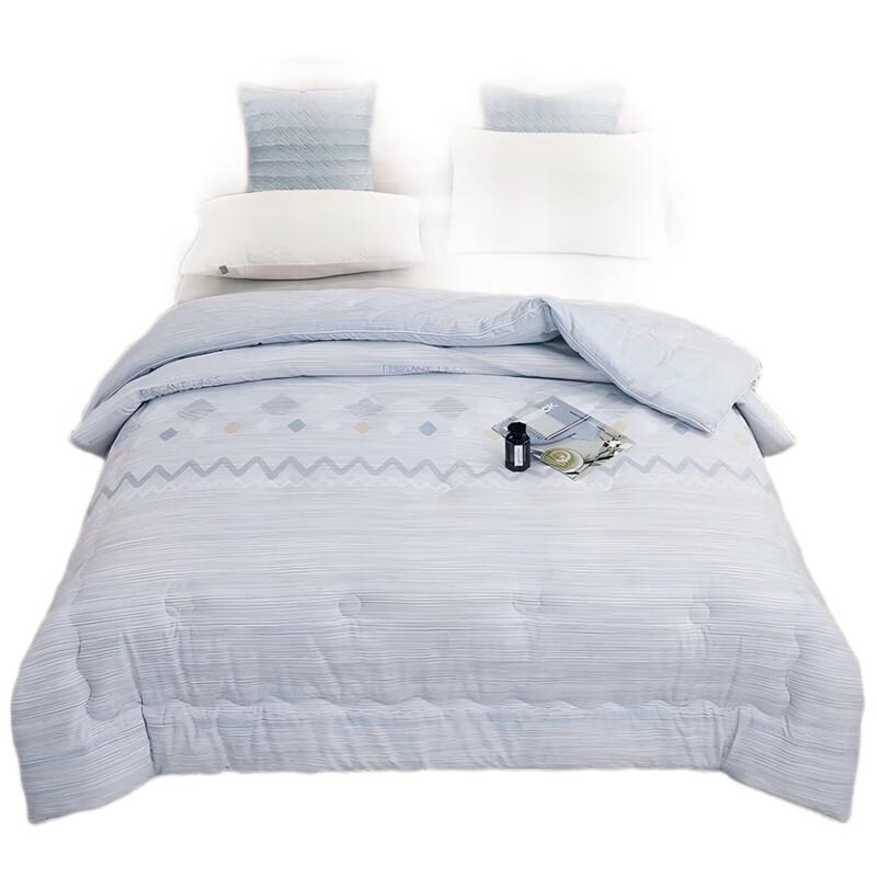 

Tangna Style Cationic Skin-friendly Winter Quilt